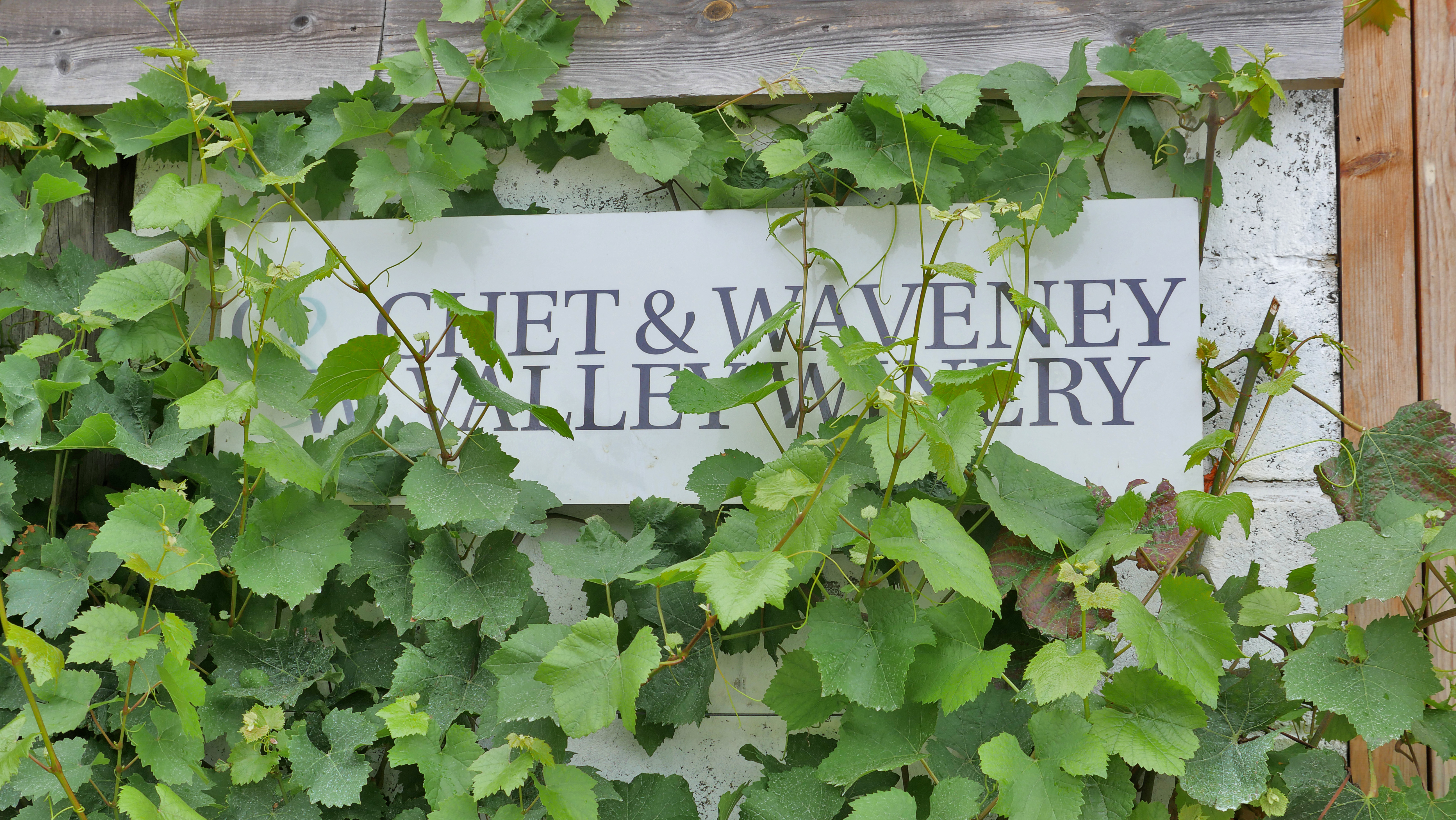 Chet Valley Vineyard