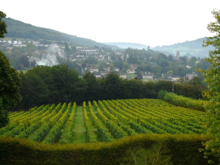 9963715 orig 768x576