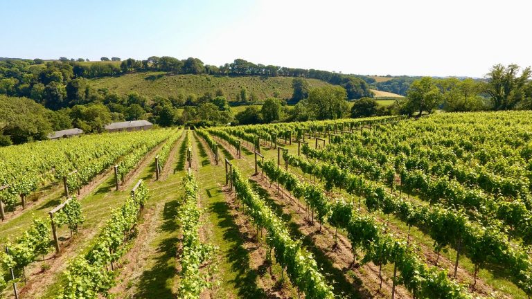 Calancombe Estate 768x432