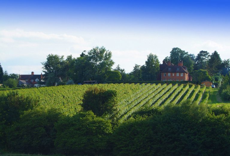 DSCF0023adj21 768x521