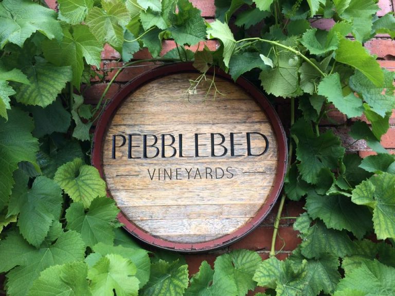 Pebblebed Vineyard 768x576