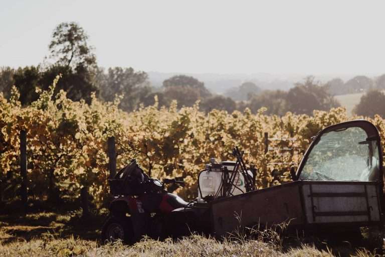 Scaddows Farm 768x512