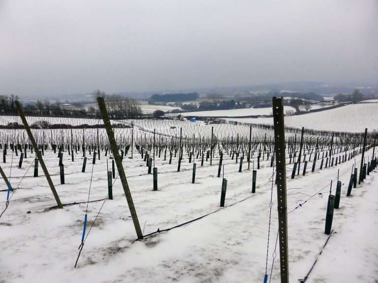 Untitled 1 1 768x576