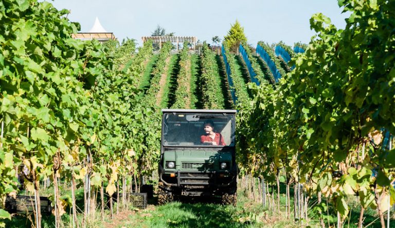 our story 01 768x444