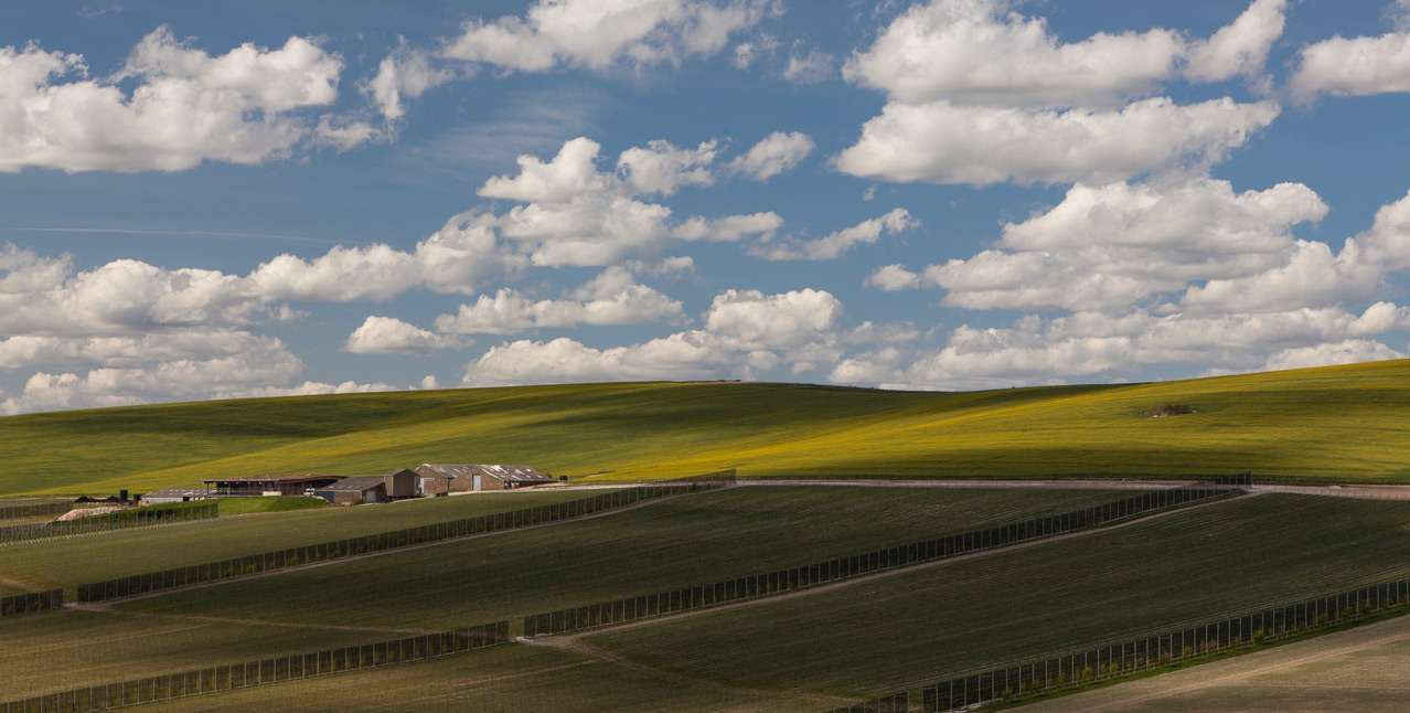 Rathfinny Wine Estate