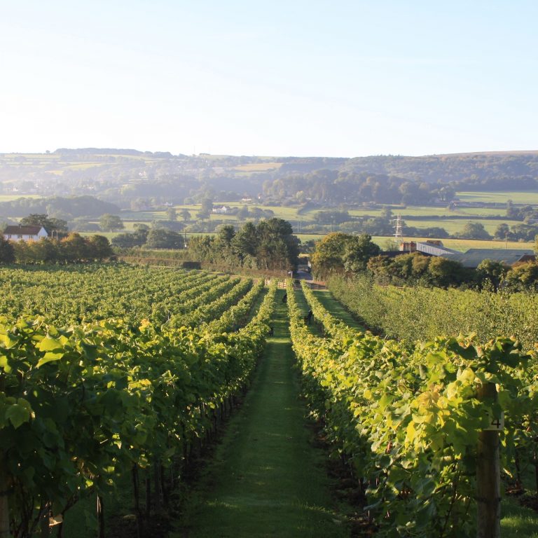 Aldwick Estate 768x768