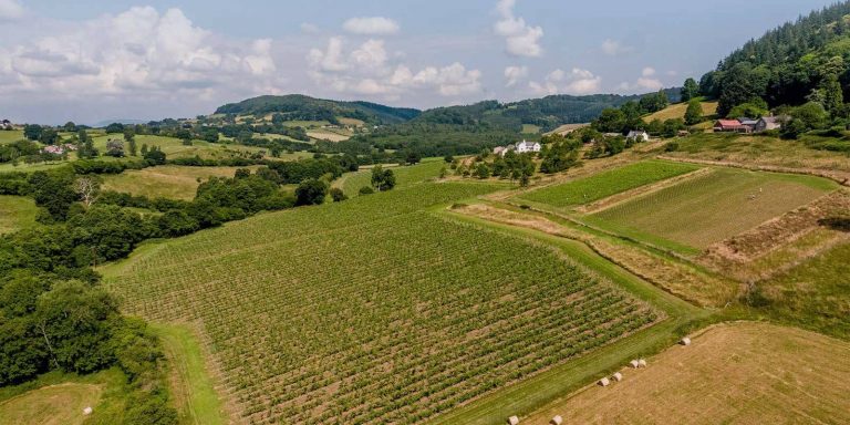 Ancre Hill Estate 768x384