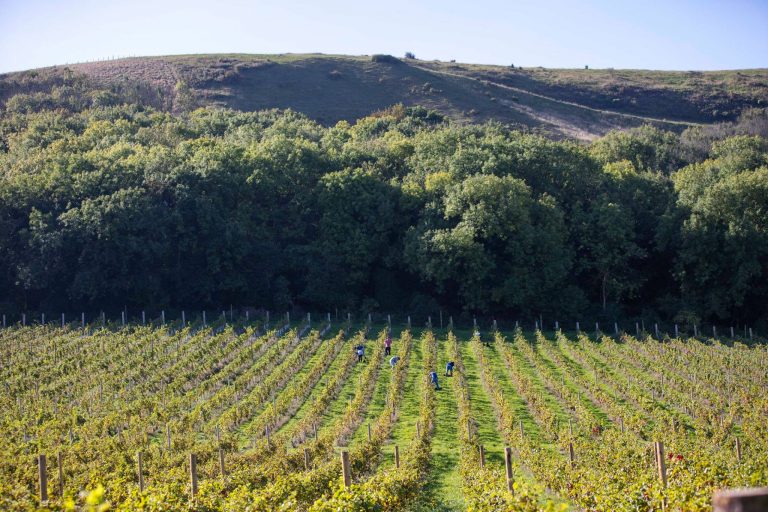 Black dog hill 2 768x512