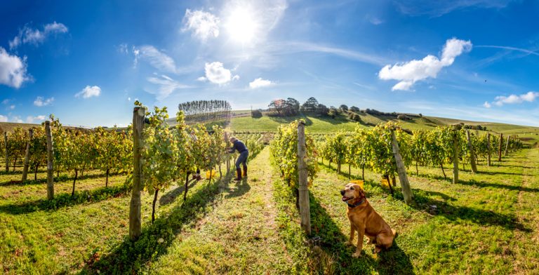 Breaky Bottom 768x392