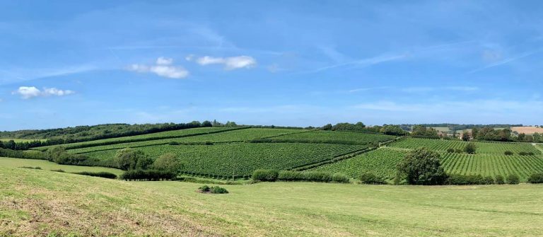 Charles Palmer 768x335