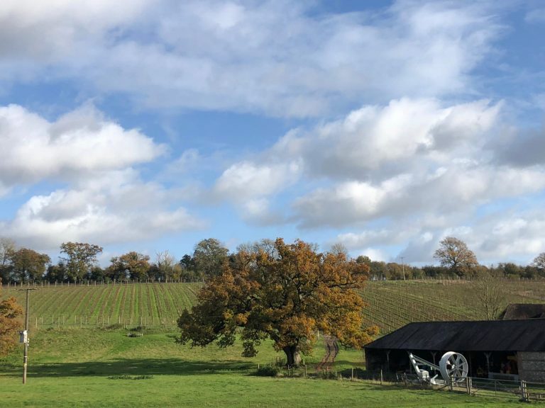 Coates Seely 768x576