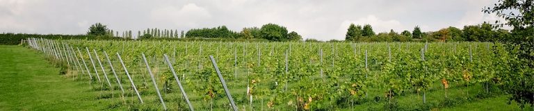 HWE slider 1 768x160