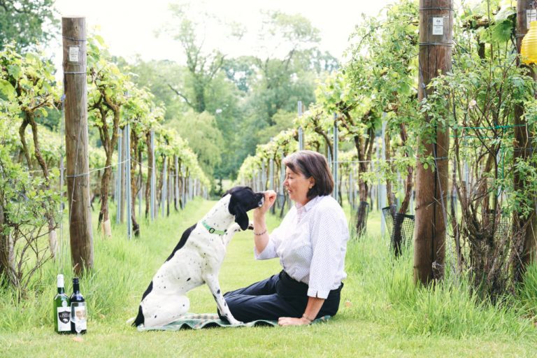 Liz Rothley wines 4 1024x683 1 768x512