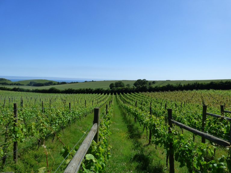 P1050217 e1535375973836 768x576