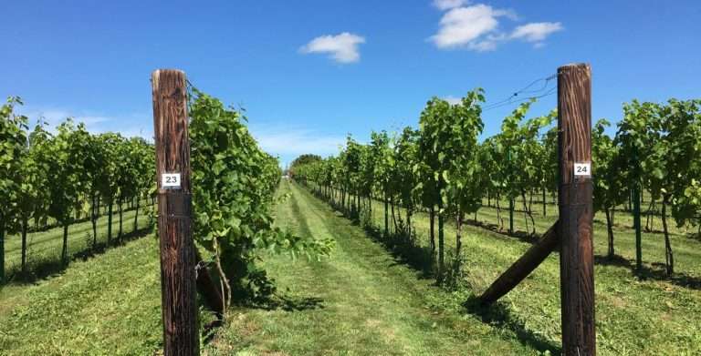 Poulton Hill Estate 768x391