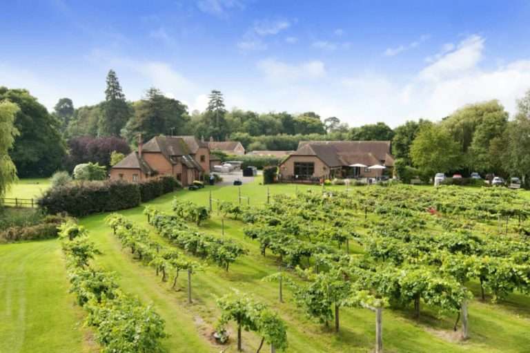 Three Choirs Vineyard 768x511