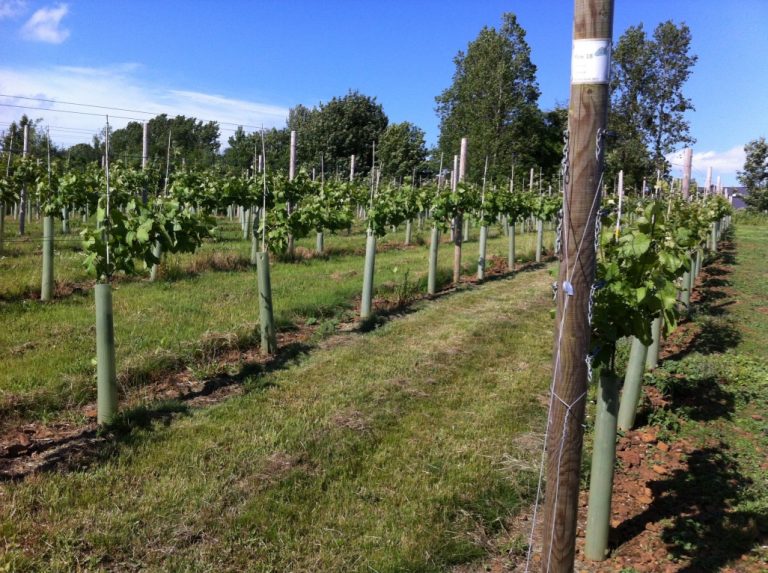 UNADJUSTEDNONRAW thumb 478 768x573