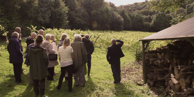 Wythall Estatetour 768x384