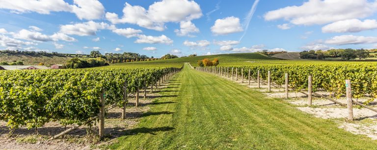 banner home 2020 5 768x307