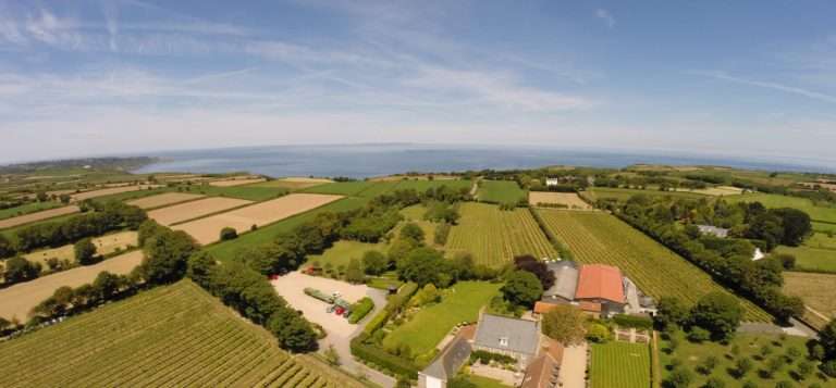 estate main image 1440x670 1 768x357