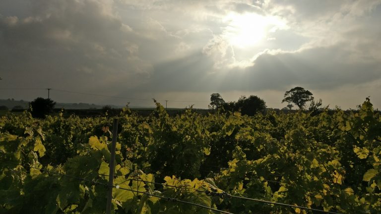 f9613e 41c58dbd02d44a08b8575228746ab0ad mv2 d 4640 2610 s 4 2 768x432