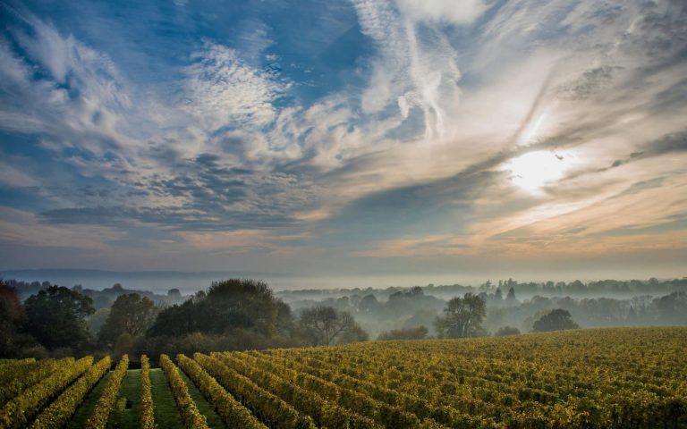 guy bells photo new 768x480