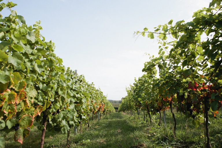 rsz 5c1f31 30c6bc9ef755466a9696af40e6de7bea mv2 d 2000 1333 s 2 768x512