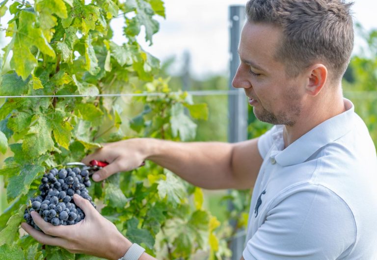 Adam DSC02686 768x530