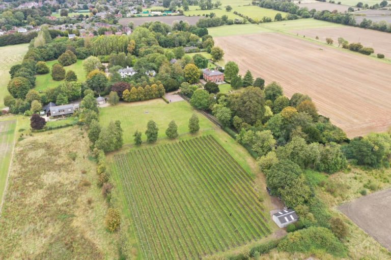 70813796 2594658700610994 1058145127005945856 n 768x512