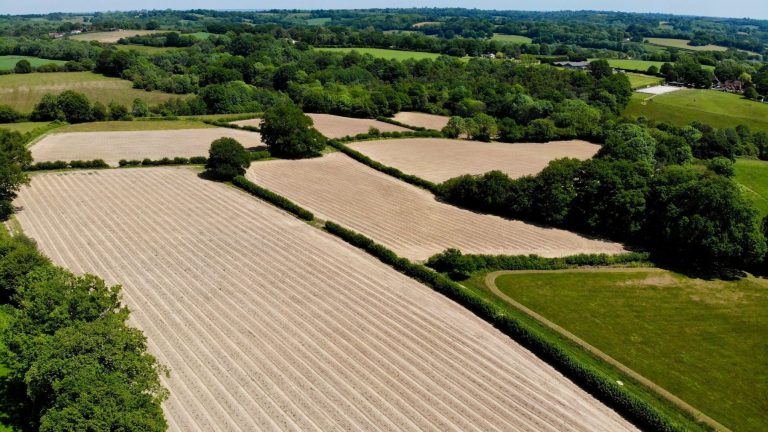 A52F5D7B D3F5 4E8C A9F7 0E453964A9A5 768x432