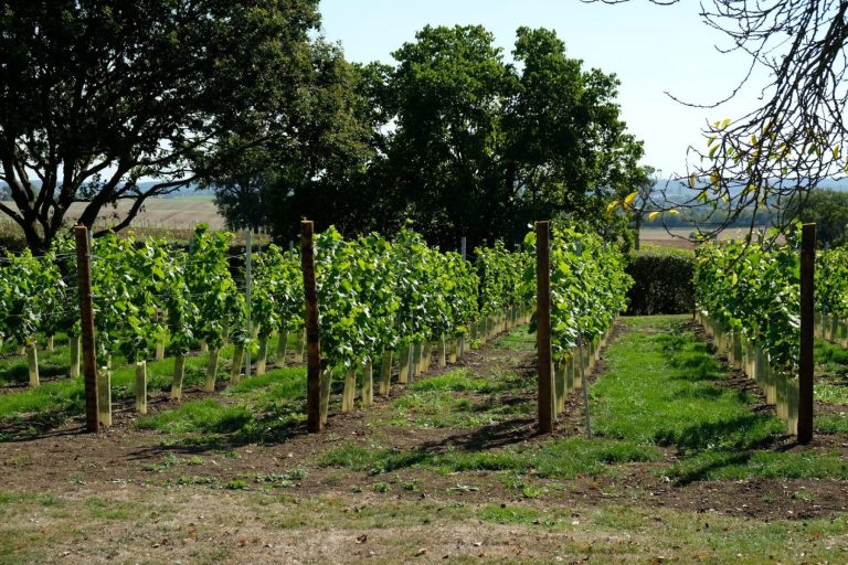 missing gate 768x512