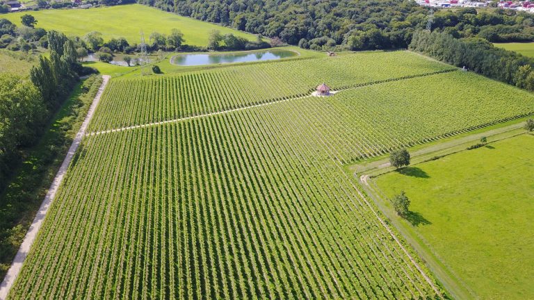 danburyridge1 768x432