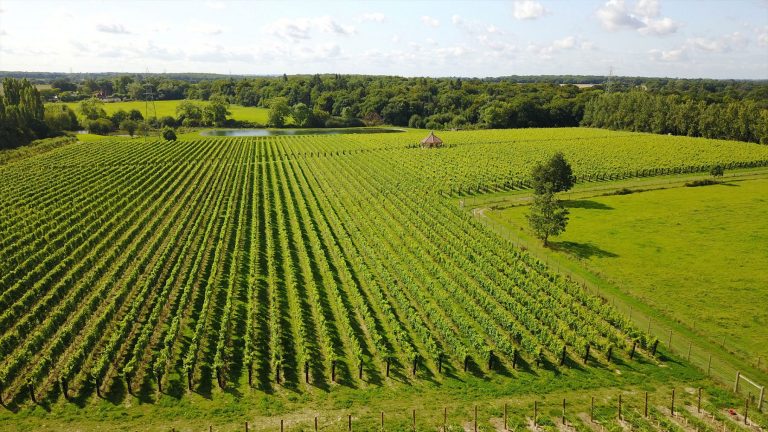 danburyridge4 768x432