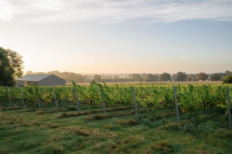 Web Ham Street 23 1 768x512